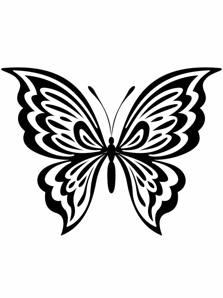 Butterfly 5