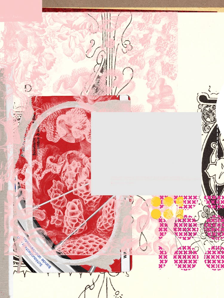 Daydream Red Rosa Mix