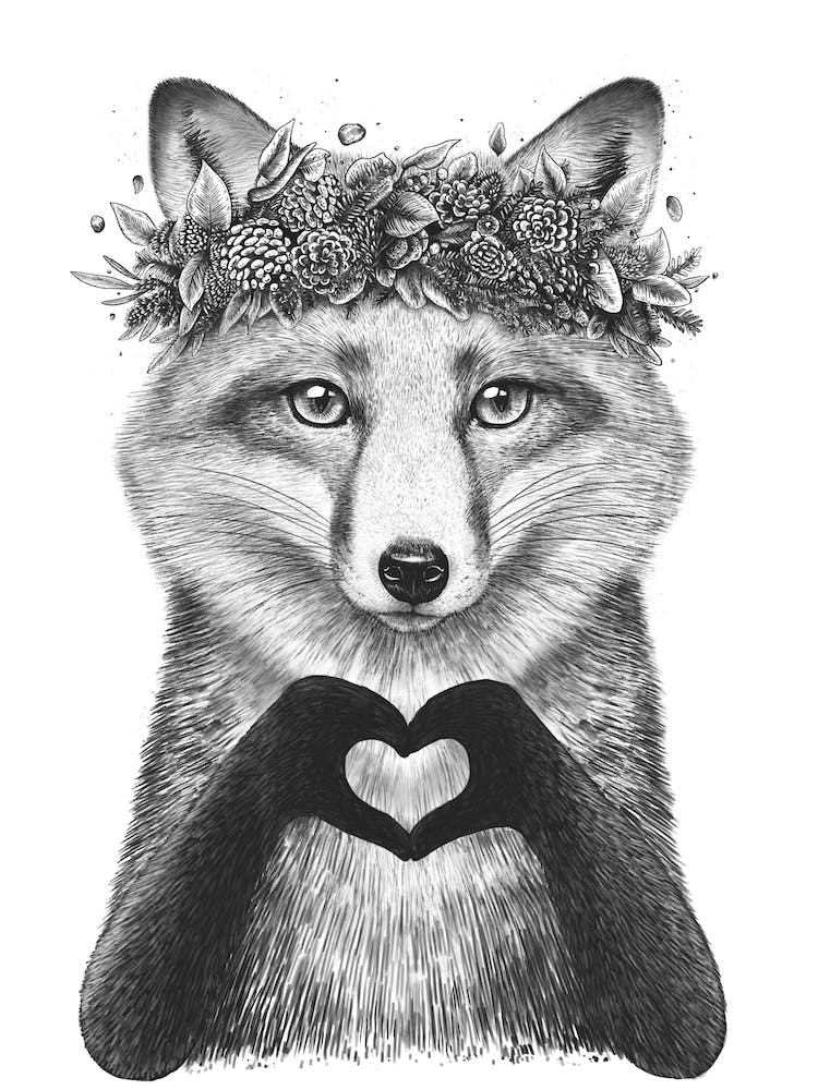 Fox With Heart