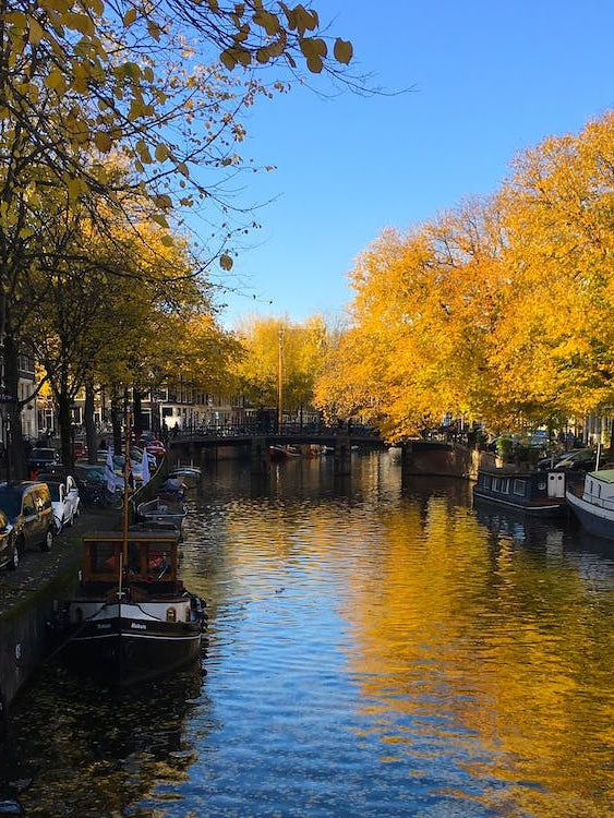 Canal in Amsterdam - Horizontal