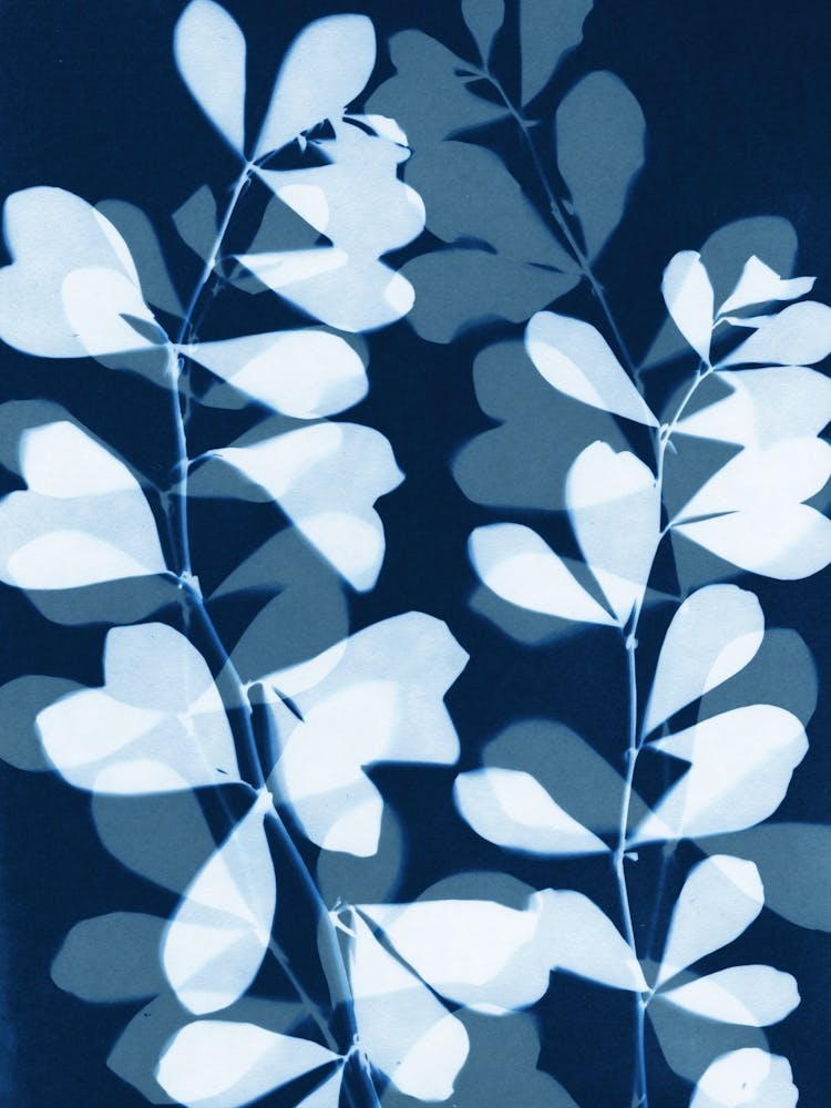 Modern Blue and White Leaf Silhouette Botanical Cyanotype