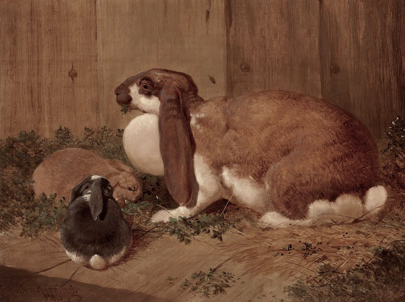 Rabbits In A Barn