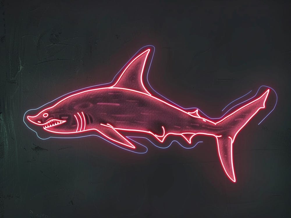 Requin-Baleine Rouge Foncé Néon 7