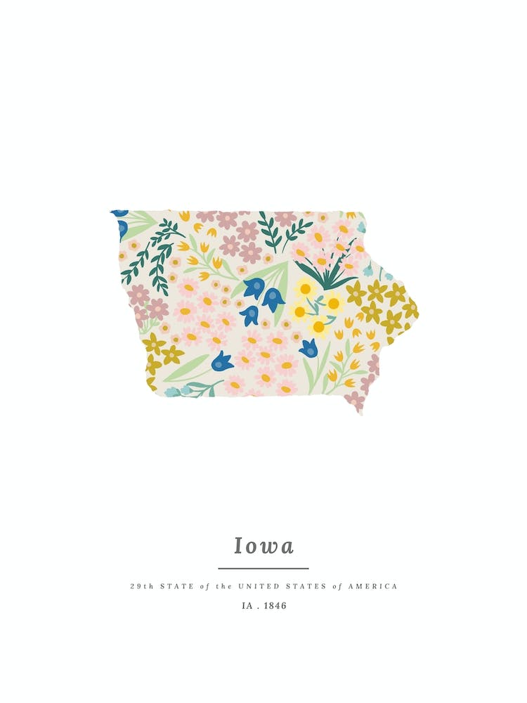 Iowa | Wildflower Mix