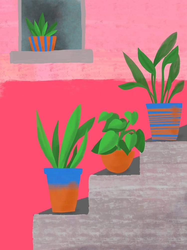Plants On The Steps
