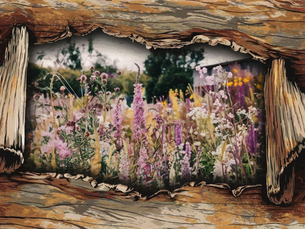 Wildflowers 1