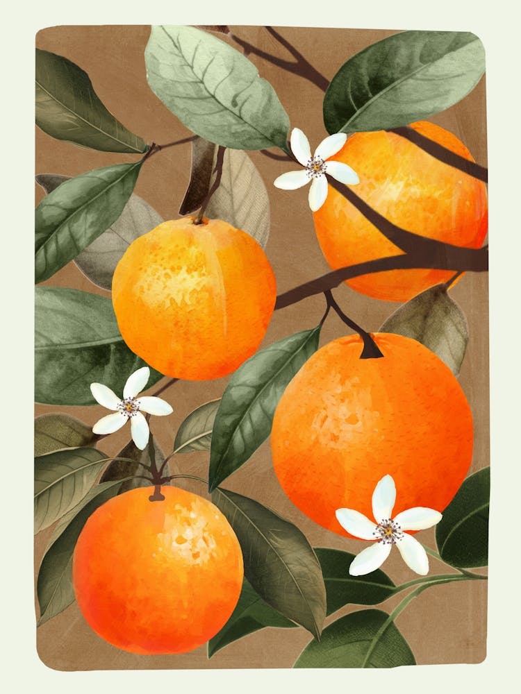 Orange 1 1