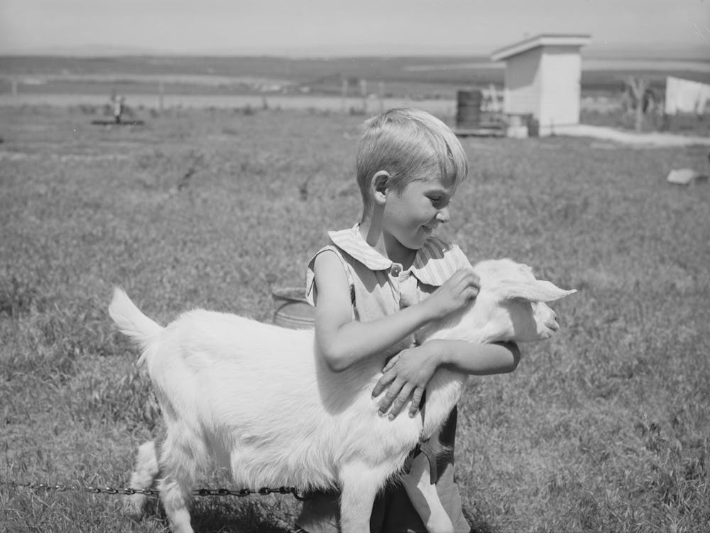 One Of Mr Browning S Sons With His Pet Goat, They Are Fsa (Farm Security Administration) Rehabilitation Clients