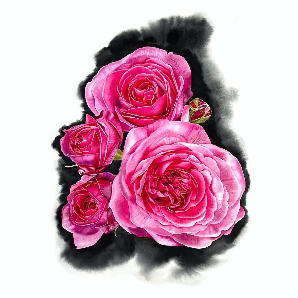 Pink Splash