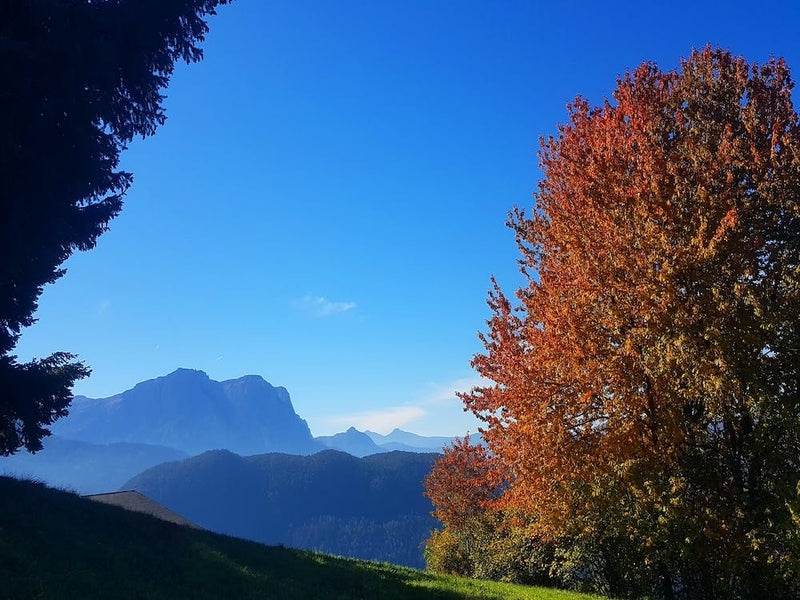 Autumn In The Mountains 1