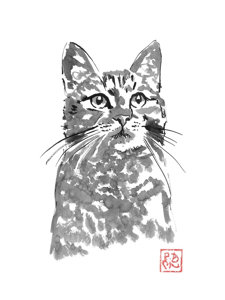 Chat Valeureux