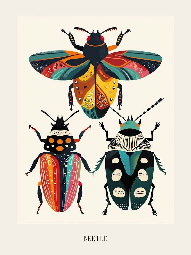 Colourful Insect Illustration Beetle 18 Poster