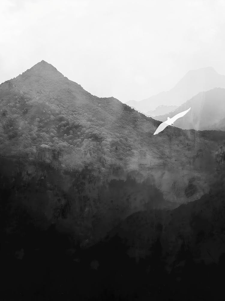 Bird In The Sky