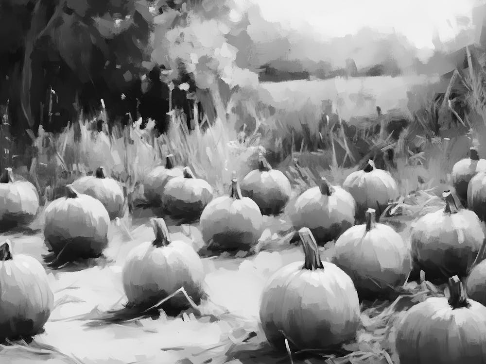 Black And White Pumpkins 21