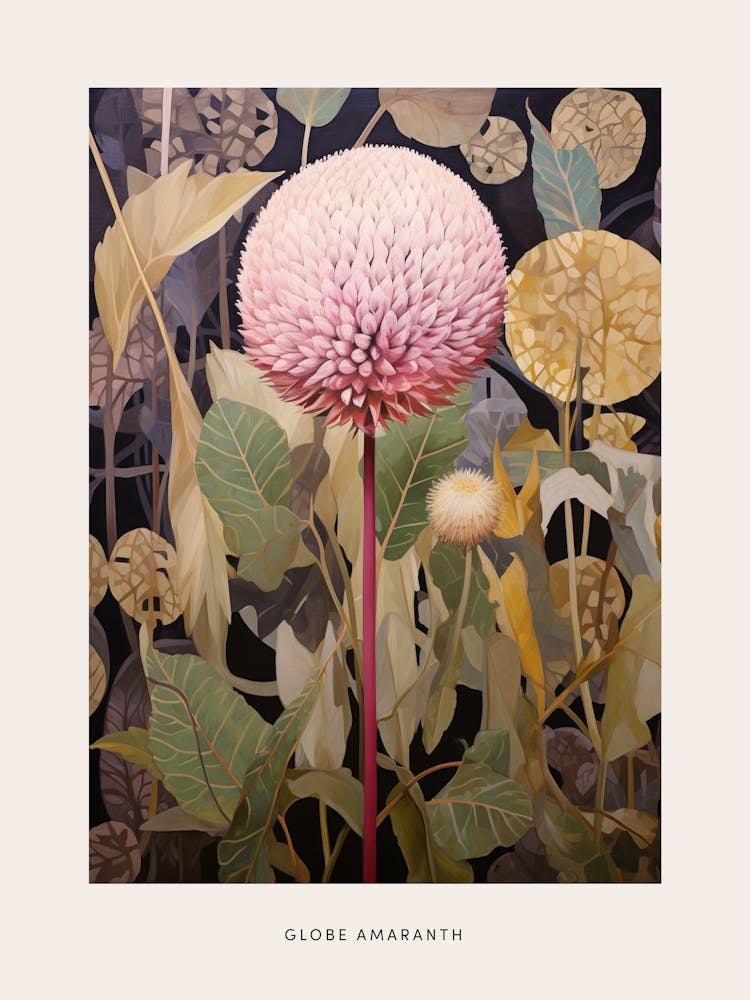 Flower Illustration Globe Amaranth 3 Poster