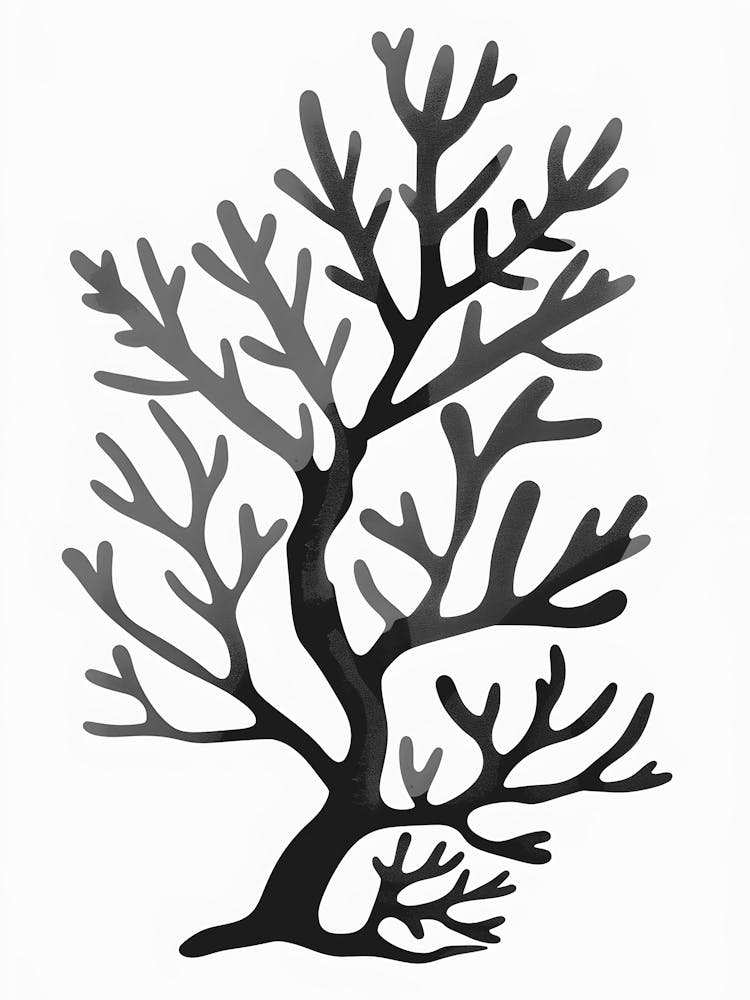Coral Tree 3
