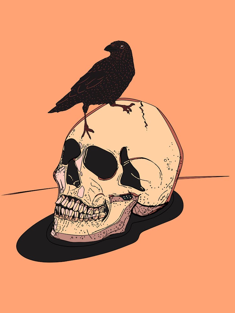 Crow On Skull 1