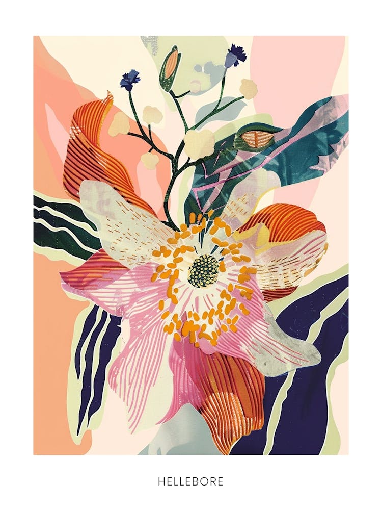 Buntes Blumenillustration Poster Hellebore 1