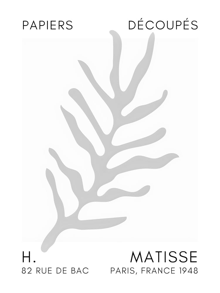 Matisse