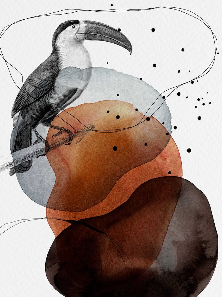 Feathered Friends Toucan Black & Brown