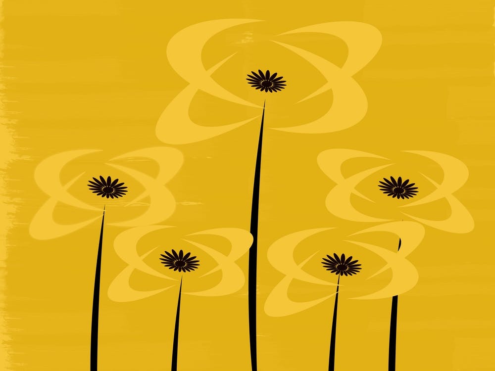 Black Eyed Susans
