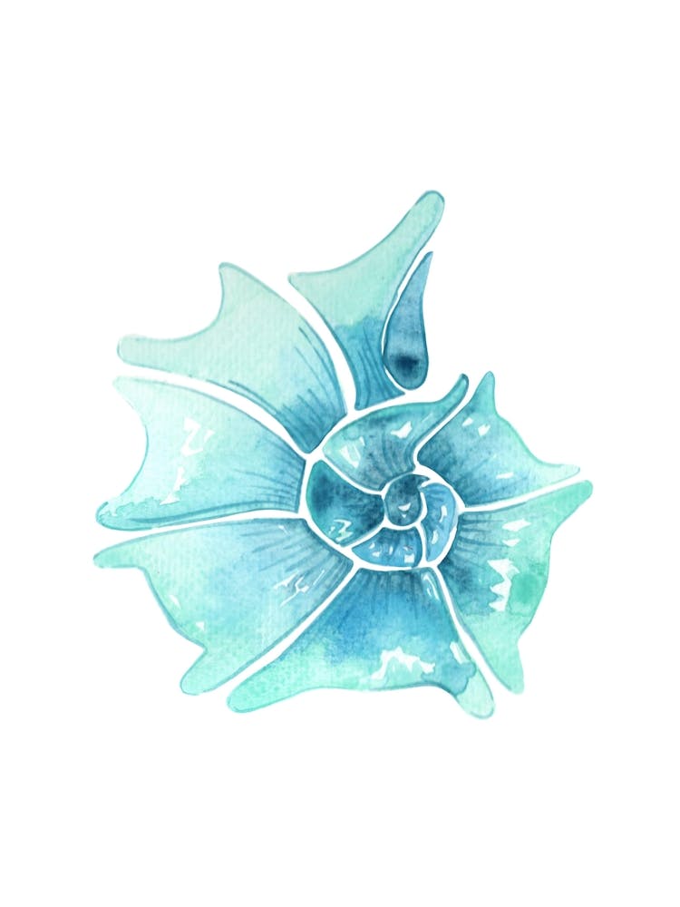 Watercolor Seashell