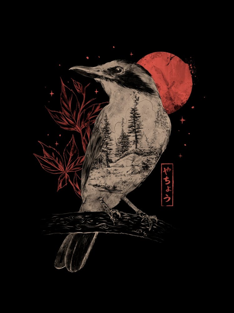 Forest Bird – Cute Sketch Night Wildlife 1