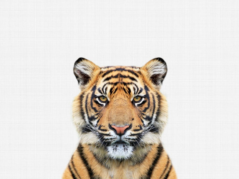 Tiger I
