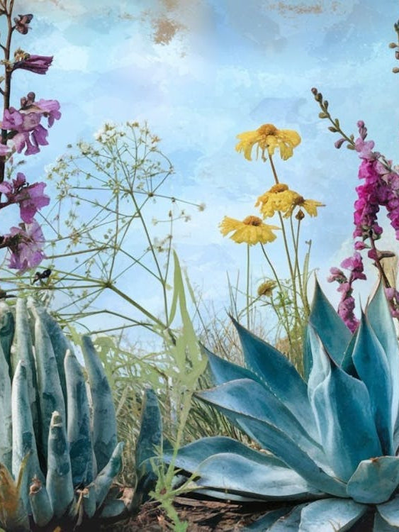 Sunny Cactus Garden - Desert Floral