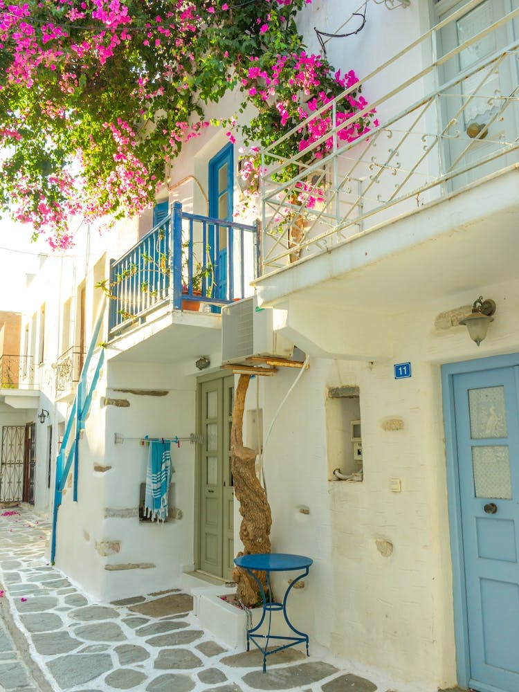 Pink Flowers In Paros