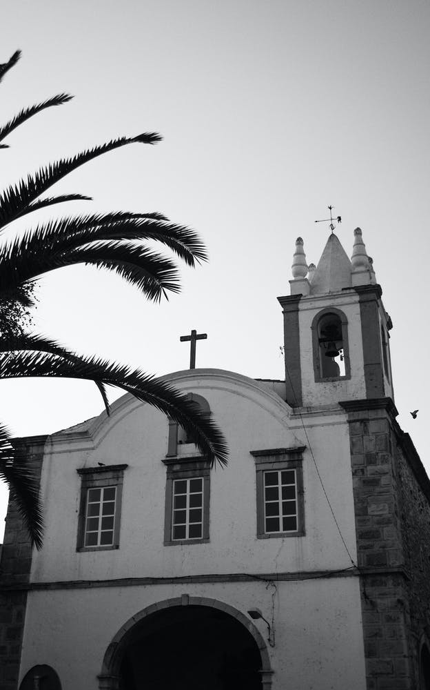 Palms And Churches