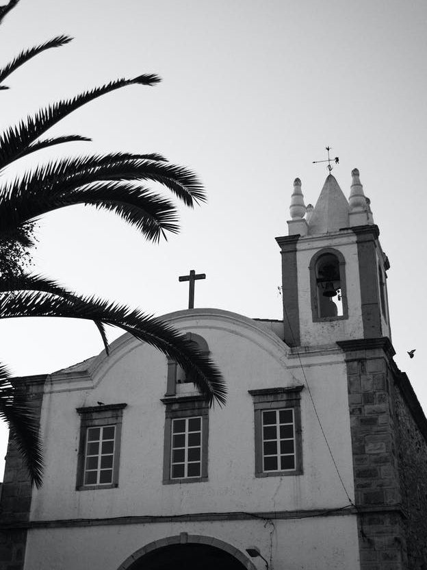Palms And Churches