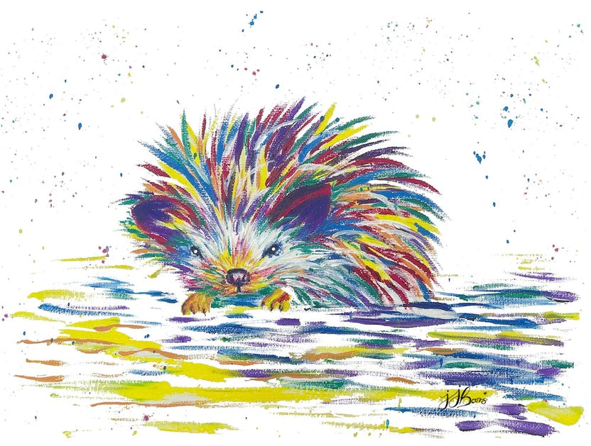 Colourful Hedgehog