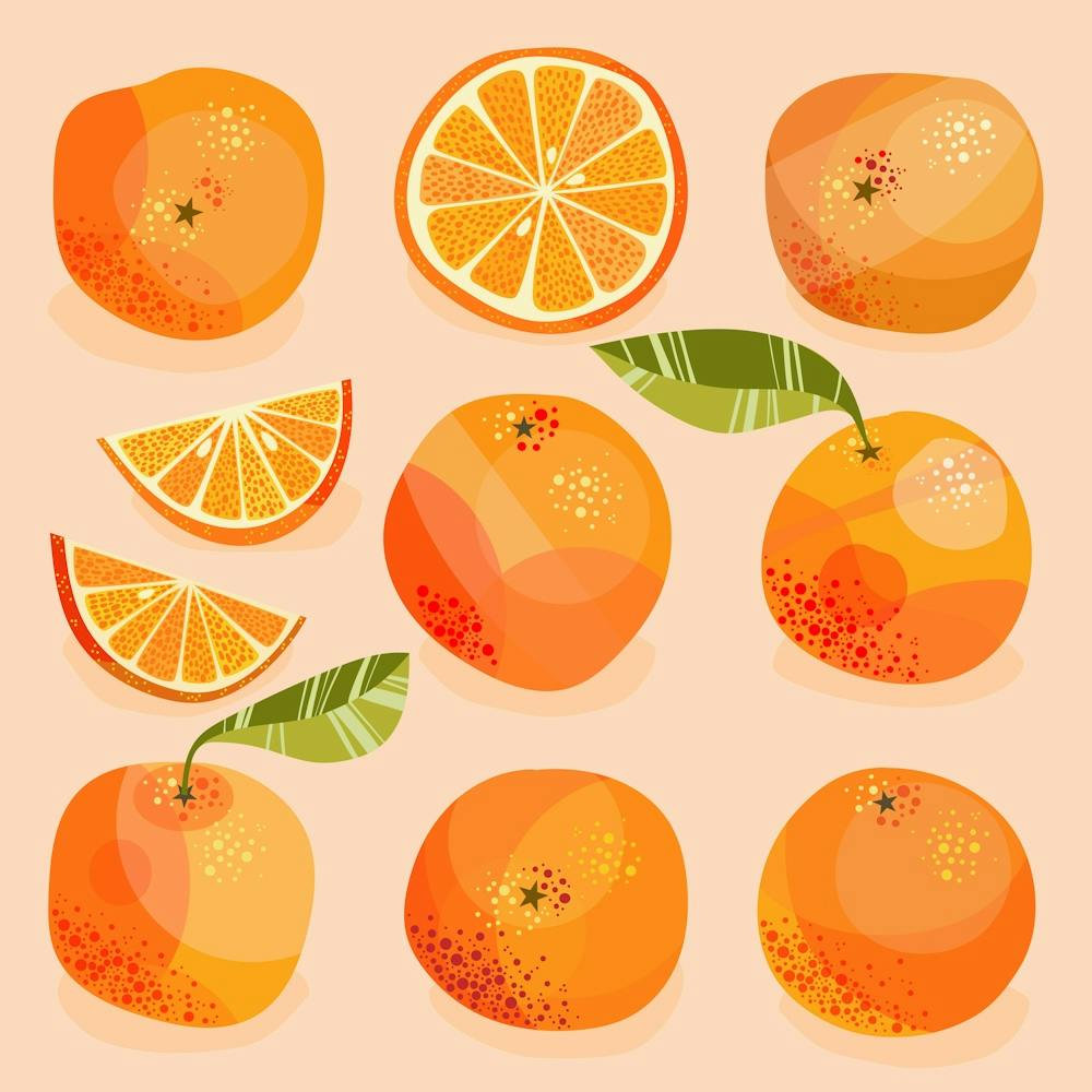 Citrus Orange Fruit