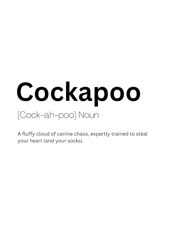 Cockapoo Definition Meaning 1