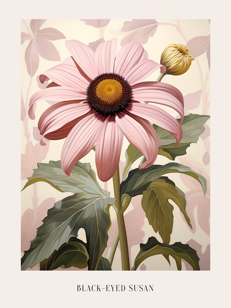 Floral Illustration Black Eyed Susan 2 Poster