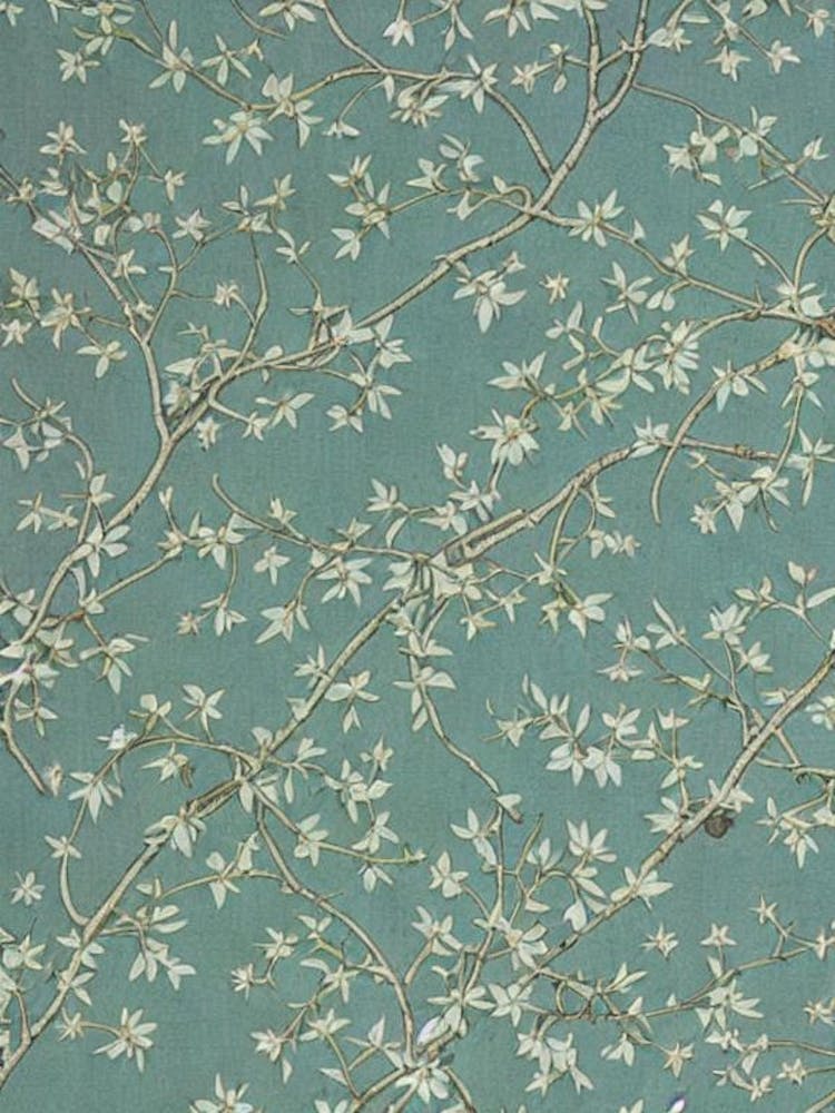 Common Hackberry tree Vintage Botanical