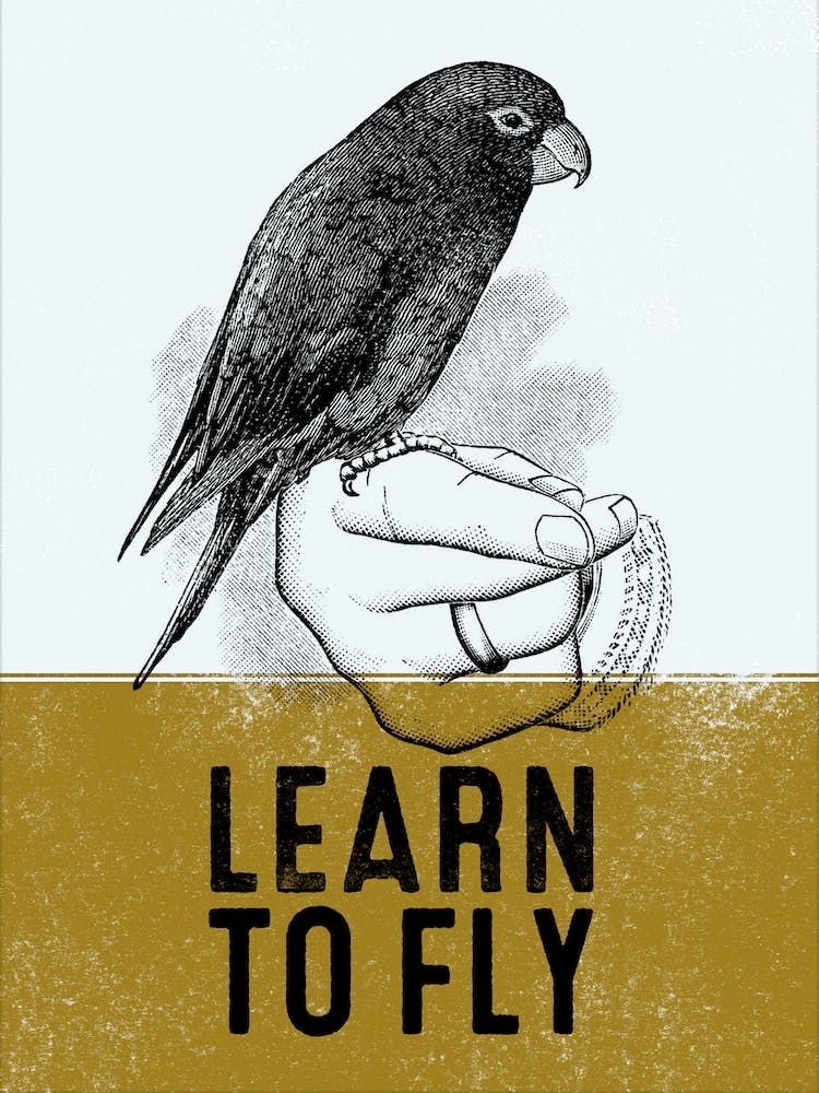 Learn To Fly