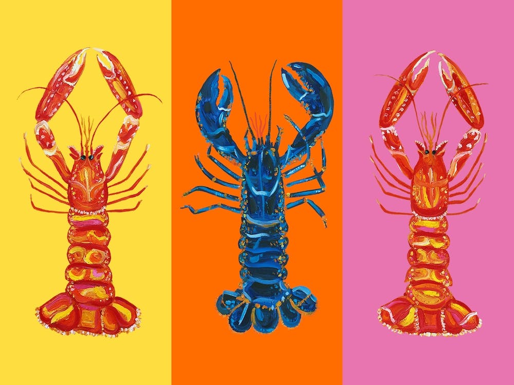 Lobster Langoustines Love