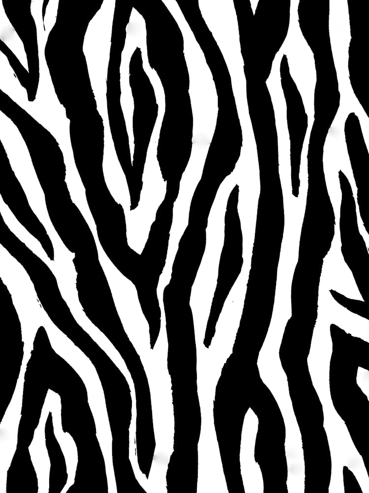 Zebra Print 1
