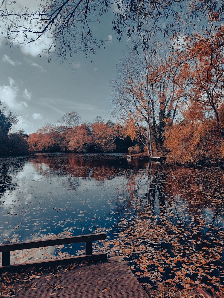 Autumn Fall Relaxing Lake