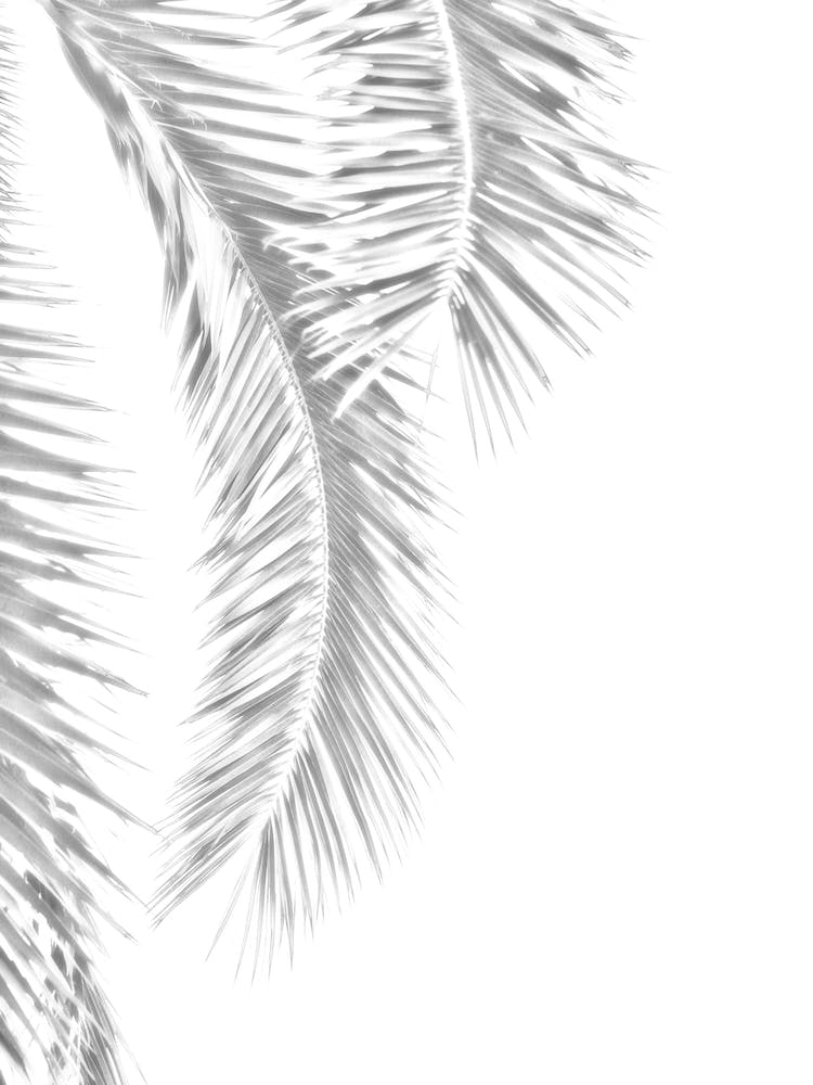 Palm Leaves Silver in