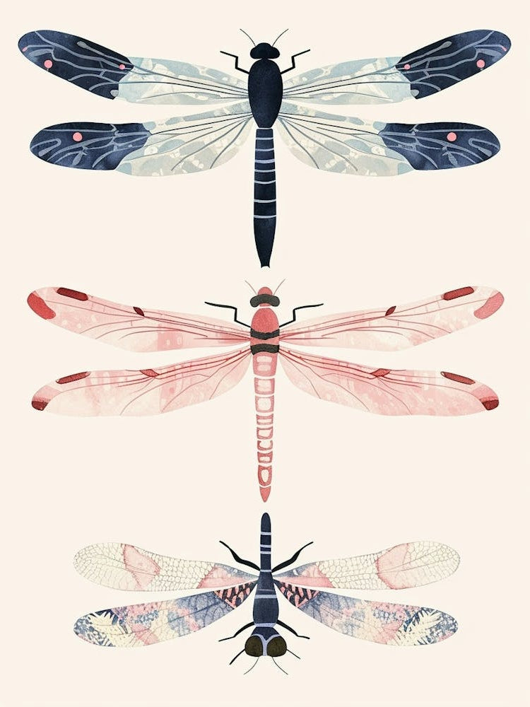 Colourful Insect Illustration Dragonfly 2