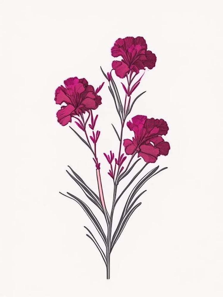 Sweet William Floral Minimal Line Drawing 3 Flower