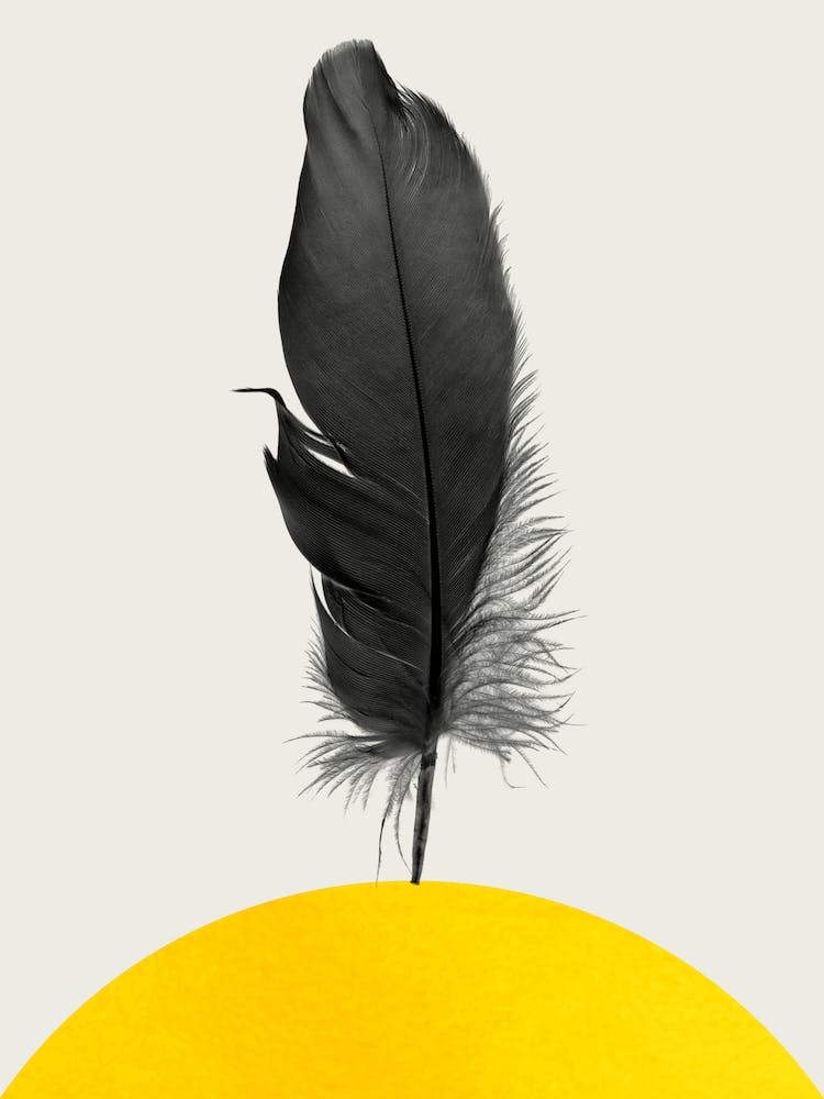 Dancing Feather