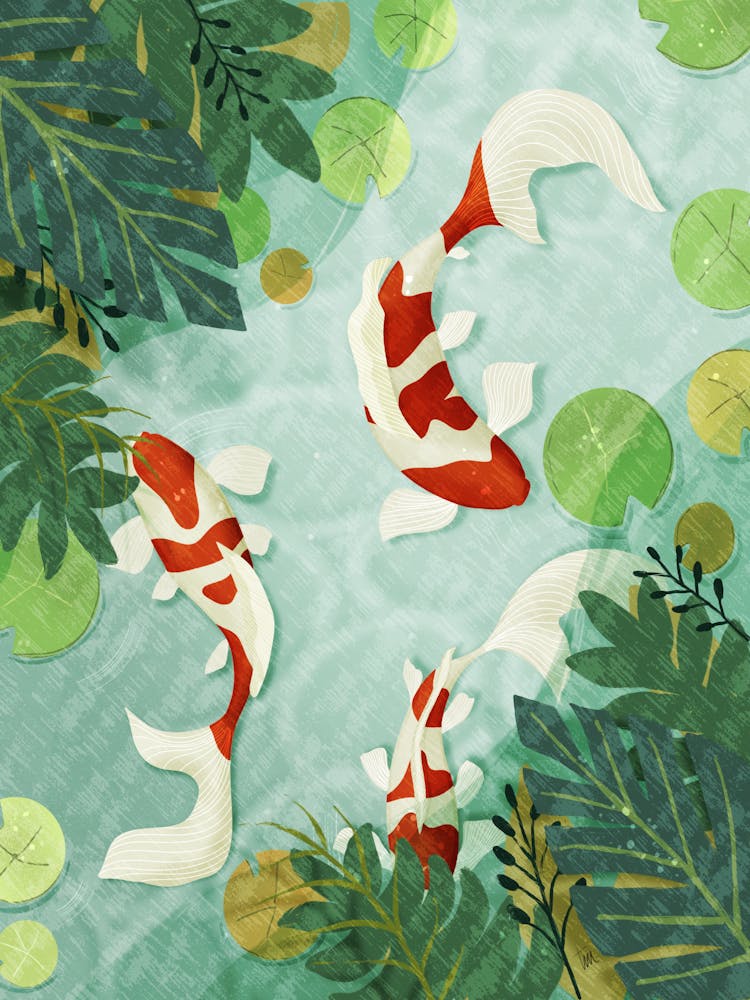 Koi Fish 1