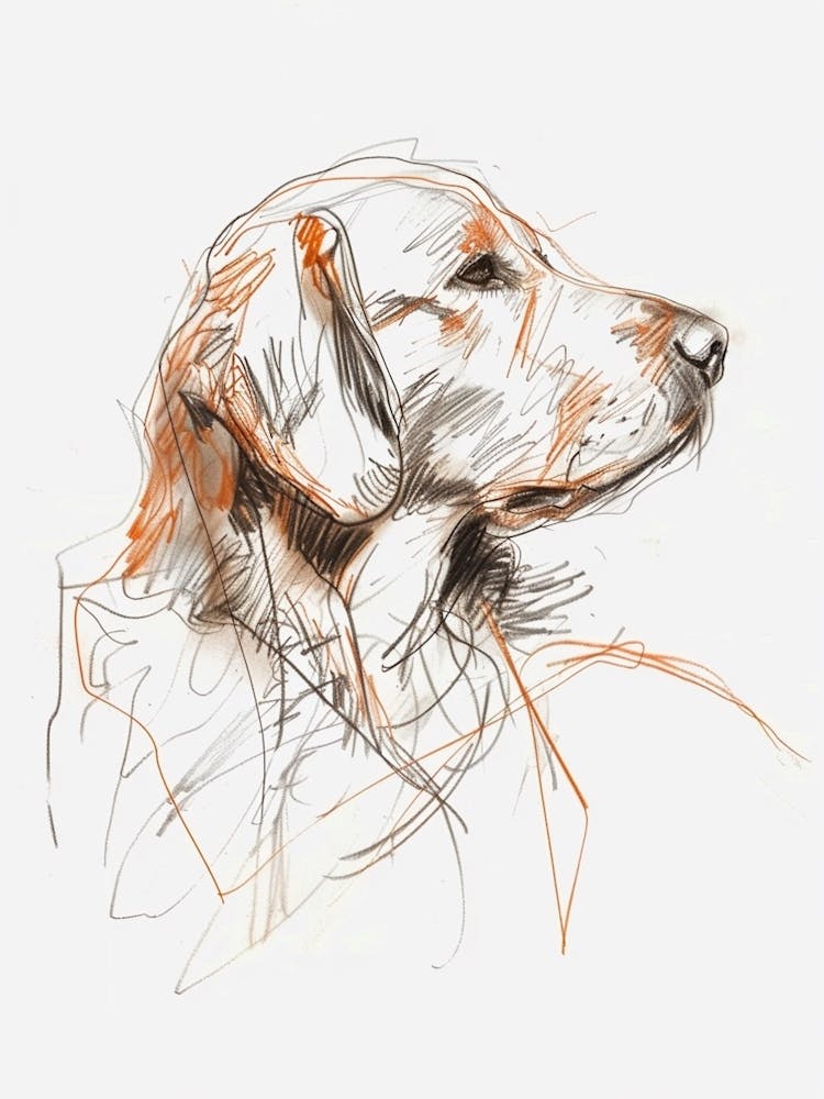 Golden Retriever Dog Orange Line