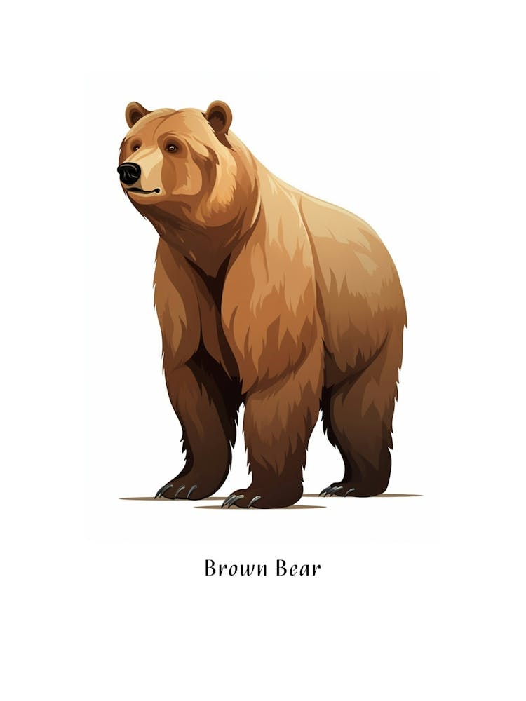 Brown Bear Kids Animal Poster