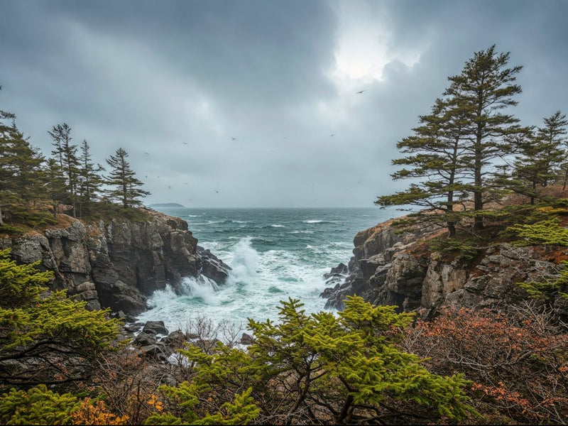 Stormy Seas