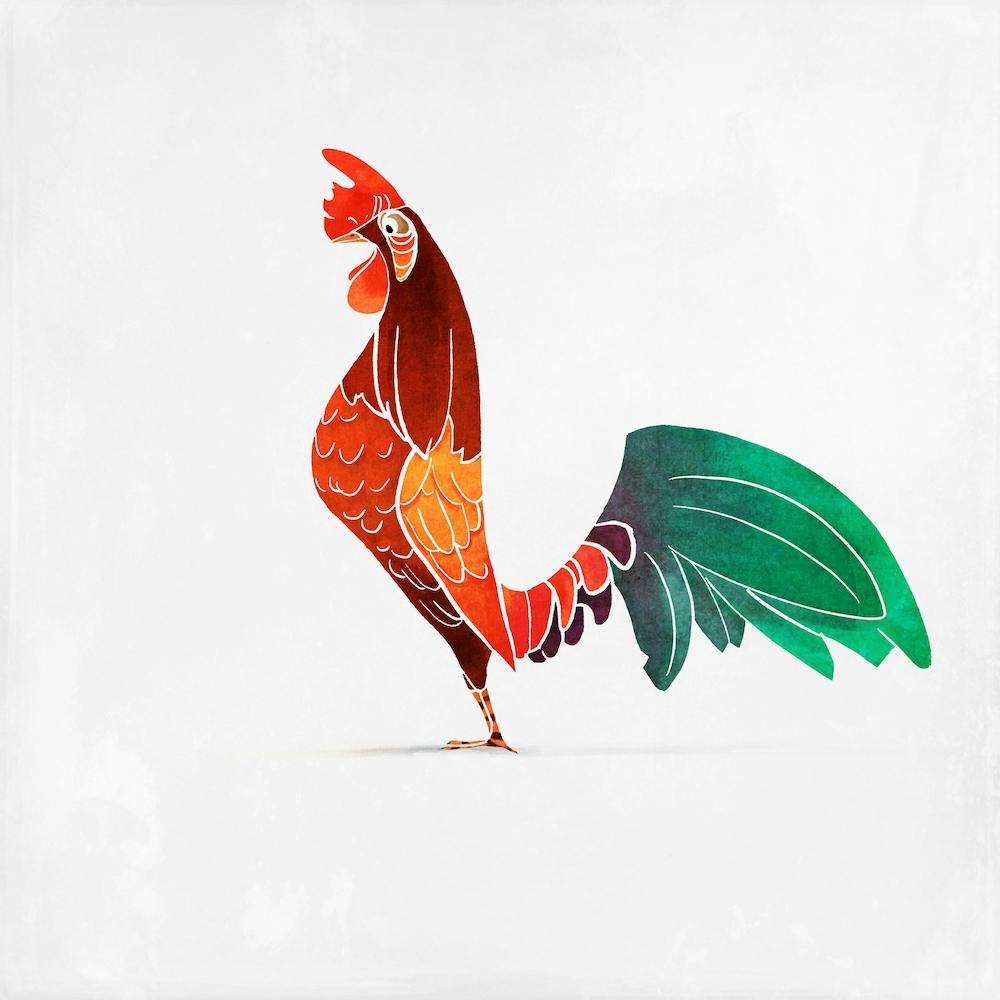 Rooster